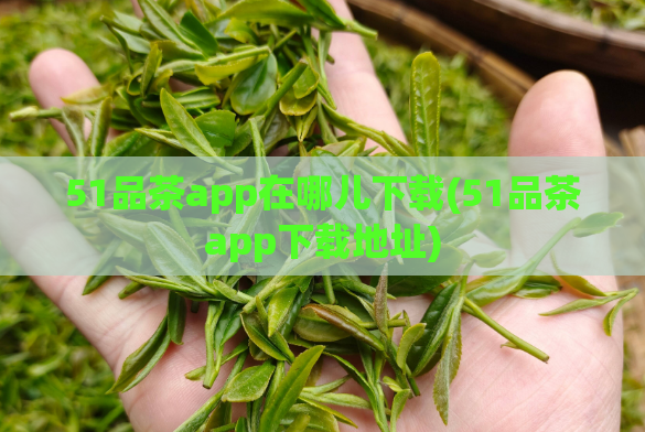 51品茶app在哪儿下载(51品茶app下载地址)