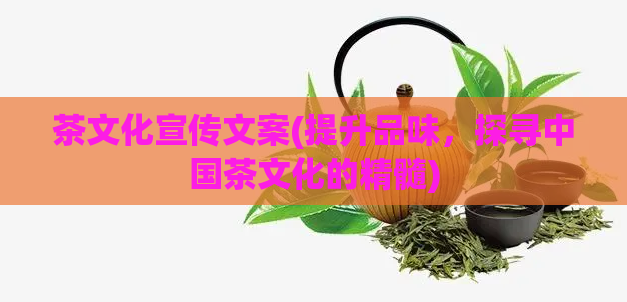 茶文化宣传文案(提升品味,探寻中国茶文化的精髓)