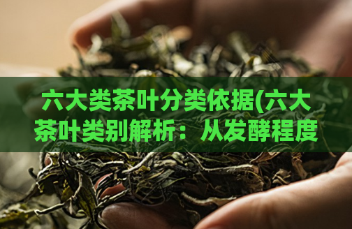 六大类茶叶分类依据(六大茶叶类别解析：从发酵程度到生长环境全面剖析)