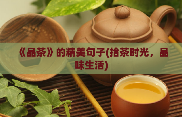 《品茶》的精美句子(拾茶时光，品味生活)