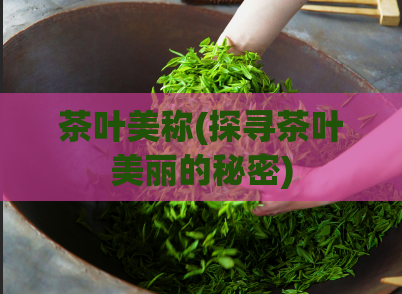 茶叶美称(探寻茶叶美丽的秘密)