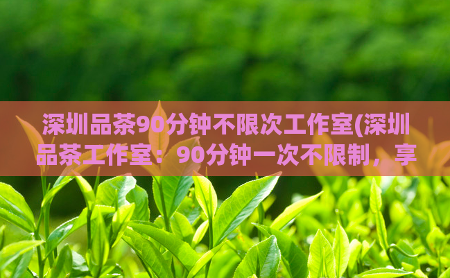 深圳品茶90分钟不限次工作室(深圳品茶工作室：90分钟一次不限制，享受极致体验)