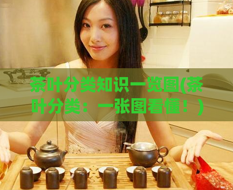 茶叶分类知识一览图(茶叶分类：一张图看懂！)