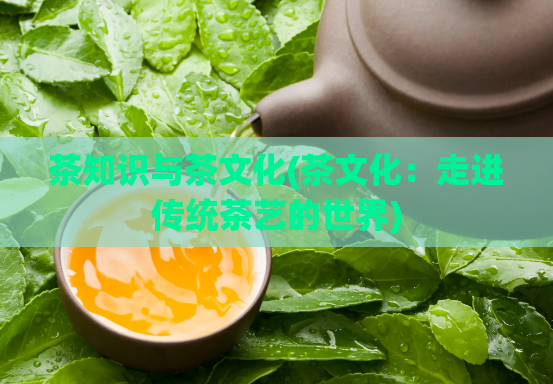 茶知识与茶文化(茶文化:走进传统茶艺的世界)