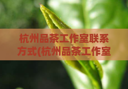 杭州品茶工作室联系方式(杭州品茶工作室联系电话及地址介绍)