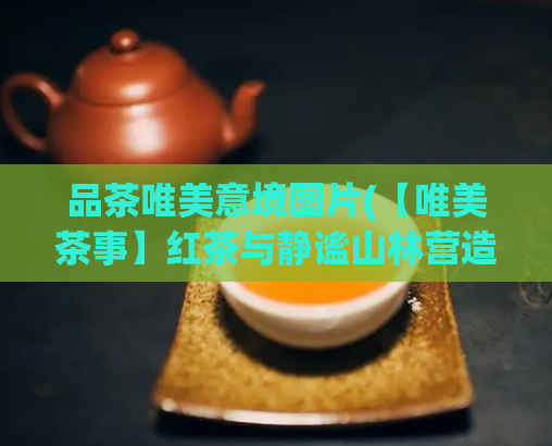 品茶唯美意境图片(【唯美茶事】红茶与静谧山林营造的优雅品味)