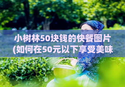 小树林50块钱的快餐图片(如何在50元以下享受美味的快餐？——小树林50元快餐实拍)
