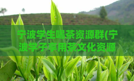 宁波学生喝茶资源群(宁波学子享用茶文化资源,福利分享群来袭)