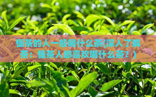 懂茶的人一般喝什么茶(深入了解茶：懂茶人都喜欢喝什么茶？)