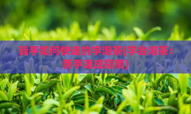 新手如何快速的学泡茶(学会泡茶：新手速成指南)