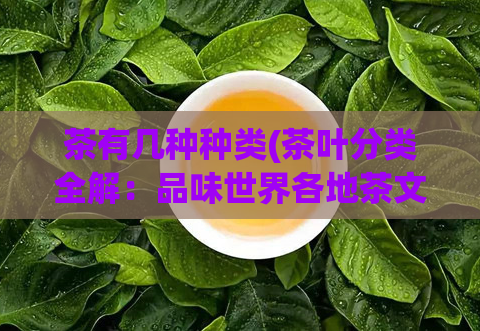 茶有几种种类(茶叶分类全解:品味世界各地茶文化)