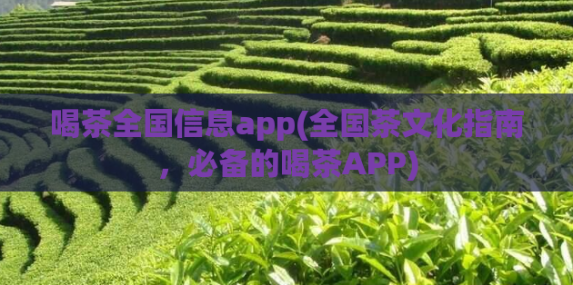 喝茶全国信息app(全国茶文化指南，必备的喝茶APP)