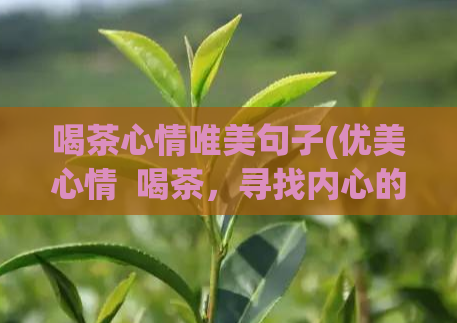 喝茶心情唯美句子(优美心情  喝茶，寻找内心的宁静与美好)