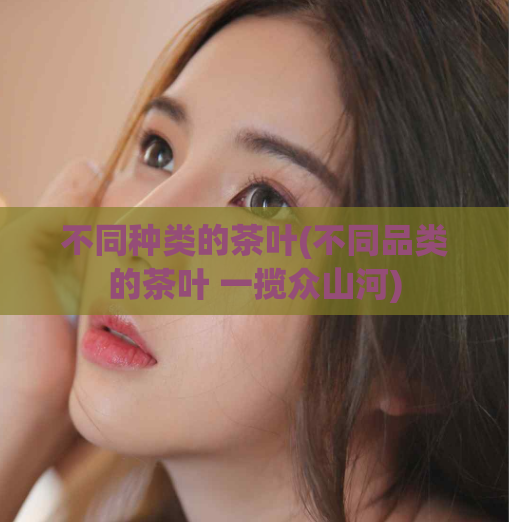 不同种类的茶叶(不同品类的茶叶 一揽众山河)