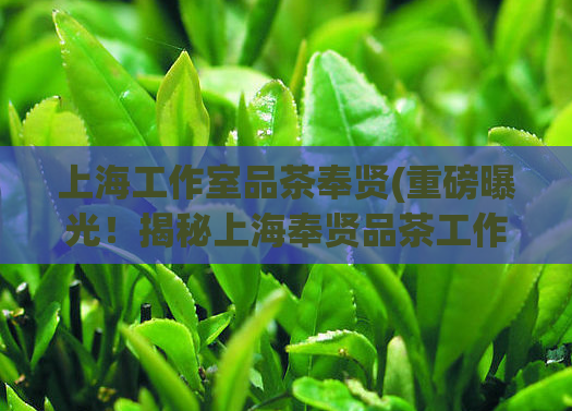 上海工作室品茶奉贤(重磅曝光！揭秘上海奉贤品茶工作室内幕)