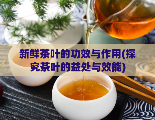 新鲜茶叶的功效与作用(探究茶叶的益处与效能)