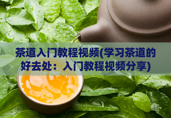 茶道入门教程视频(学习茶道的好去处:入门教程视频分享)