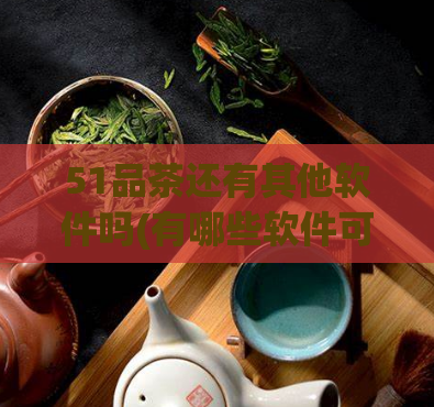 51品茶还有其他软件吗(有哪些软件可以像51品茶一样优质？)