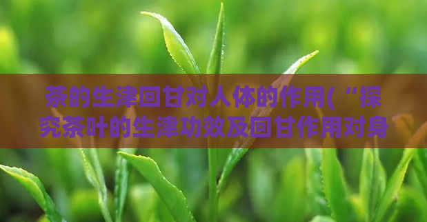 茶的生津回甘对人体的作用(“探究茶叶的生津功效及回甘作用对身体的影响”)