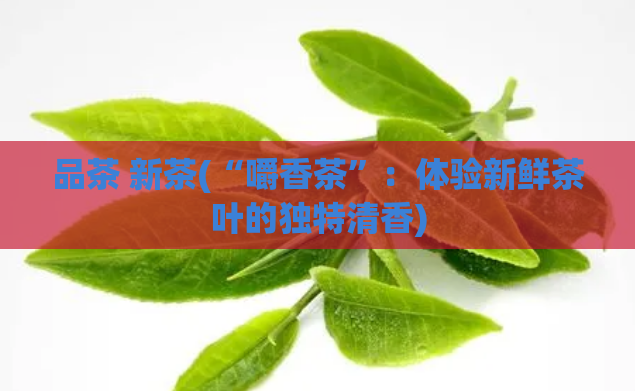 品茶 新茶(“嚼香茶”：体验新鲜茶叶的独特清香)