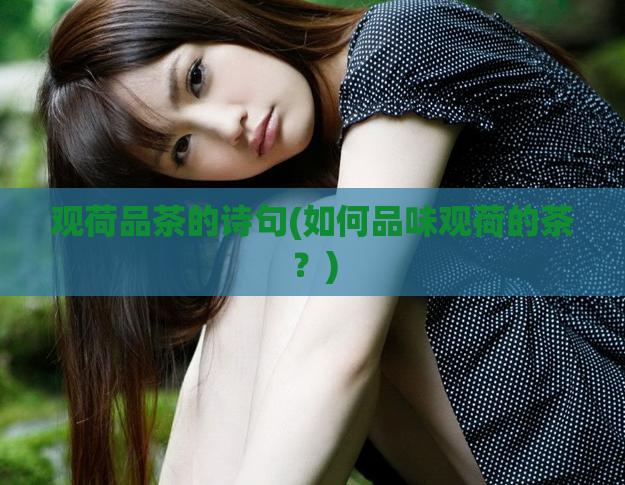 观荷品茶的诗句(如何品味观荷的茶？)