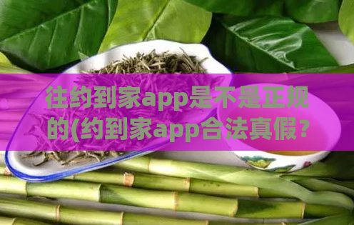 往约到家app是不是正规的(约到家app合法真假？约到家合规度如何？)
