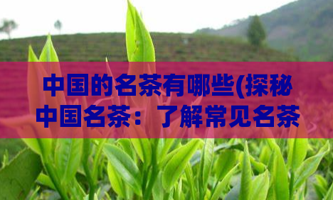 中国的名茶有哪些(探秘中国名茶：了解常见名茶种类)