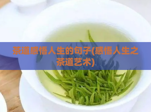 茶道感悟人生的句子(感悟人生之茶道艺术)