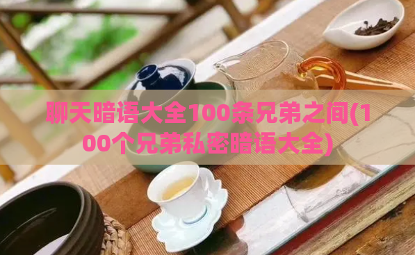 聊天暗语大全100条兄弟之间(100个兄弟私密暗语大全)