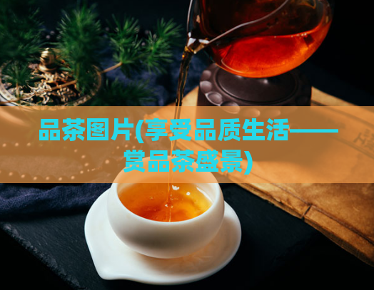 品茶图片(享受品质生活——赏品茶盛景)