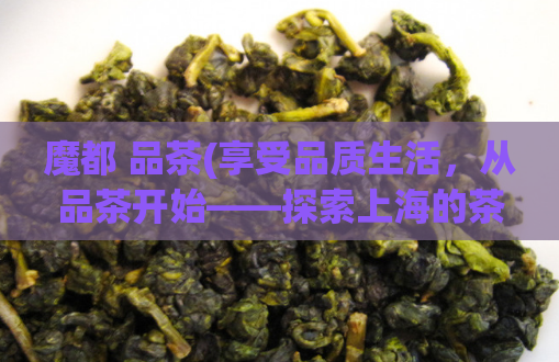 魔都 品茶(享受品质生活,从品茶开始——探索上海的茶文化)