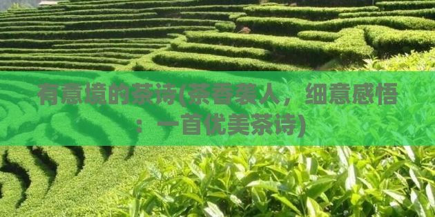 有意境的茶诗(茶香袭人，细意感悟：一首优美茶诗)