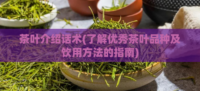 茶叶介绍话术(了解优秀茶叶品种及饮用方法的指南)
