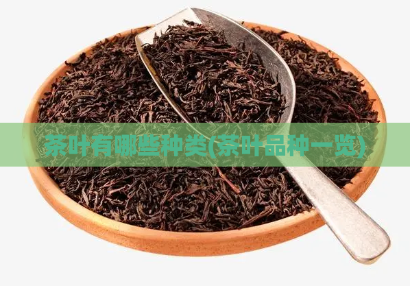 茶叶有哪些种类(茶叶品种一览)