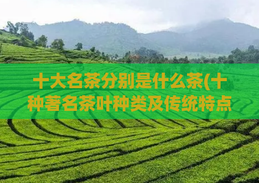 十大名茶分别是什么茶(十种著名茶叶种类及传统特点)