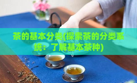 茶的基本分类(探索茶的分类系统：了解基本茶种)