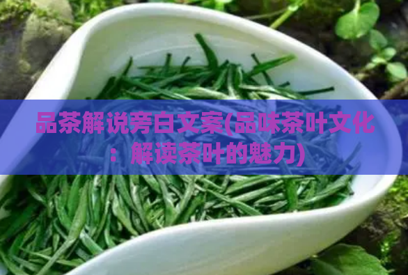 品茶解说旁白文案(品味茶叶文化：解读茶叶的魅力)