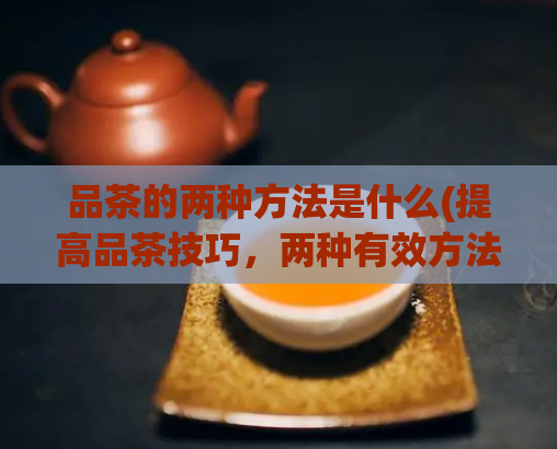 品茶的两种方法是什么(提高品茶技巧，两种有效方法分享)