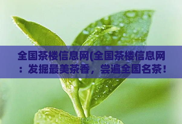 全国茶楼信息网(全国茶楼信息网:发掘最美茶香,尝遍全国名茶!)