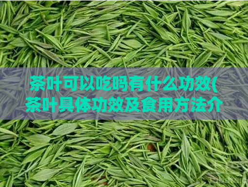 茶叶可以吃吗有什么功效(茶叶具体功效及食用方法介绍)