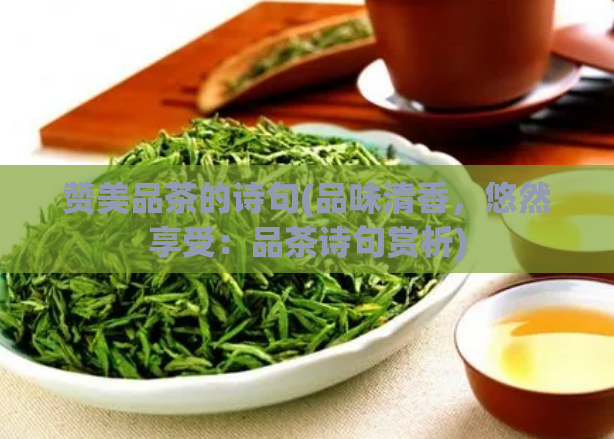 赞美品茶的诗句(品味清香，悠然享受：品茶诗句赏析)