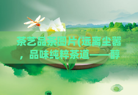 茶艺品茶图片(远离尘嚣，品味纯粹茶道——醇香茶艺美图)