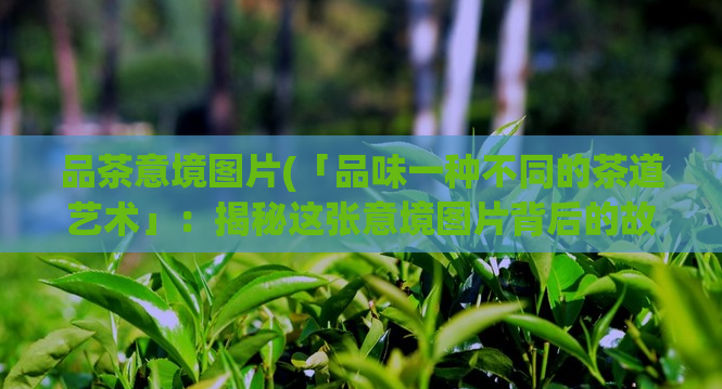 品茶意境图片(「品味一种不同的茶道艺术」：揭秘这张意境图片背后的故事)
