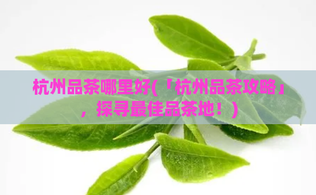 杭州品茶哪里好(「杭州品茶攻略」，探寻最佳品茶地！)