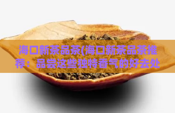 海口新茶品茶(海口新茶品茶推荐：品尝这些独特香气的好去处)