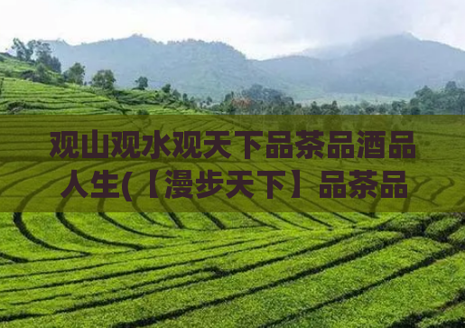 观山观水观天下品茶品酒品人生(【漫步天下】品茶品酒细品人生)