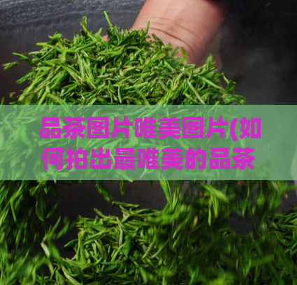 品茶图片唯美图片(如何拍出最唯美的品茶图片？)