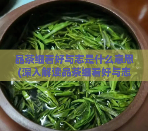 品茶细看好与志是什么意思(深入解读品茶细看好与志的含义)