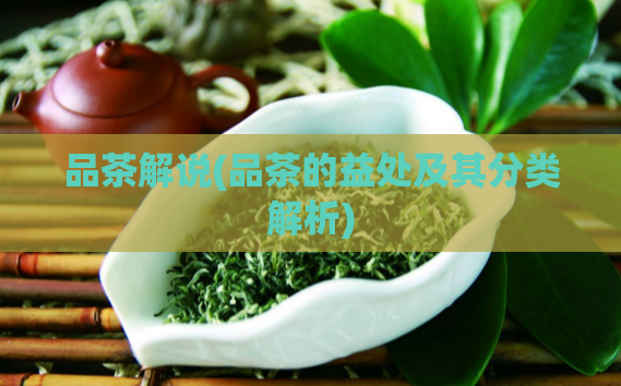 品茶解说(品茶的益处及其分类解析)