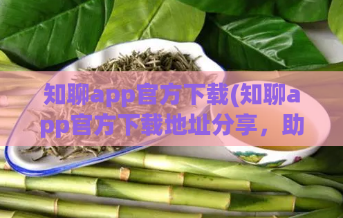 知聊app官方下载(知聊app官方下载地址分享，助你便捷畅聊)